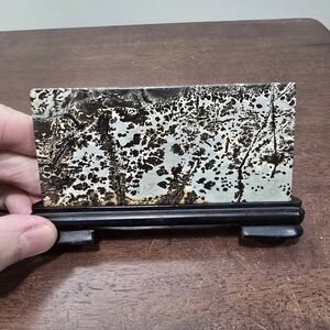 Picture Jasper Crystal Slab in Holder #K